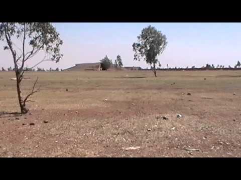 تدريب عناصر كتيبة شهداء صيدا على فك سلاح البي كي سي