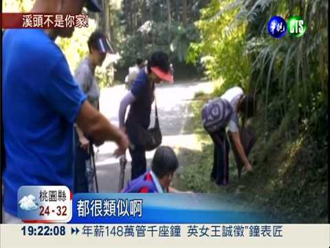 當成自家後院! 溪頭"收割族"橫行