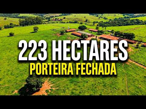 Fazenda de 223 hectares à venda em Buenópolis MG – Porteira Fechada! #fazendaavenda #buenopolis