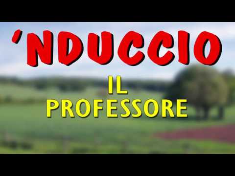 'Nduccio - Il professore