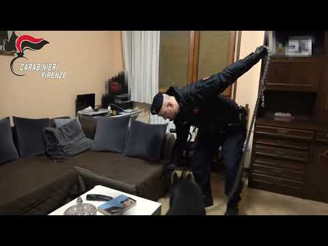 L'operazione dei carabinieri