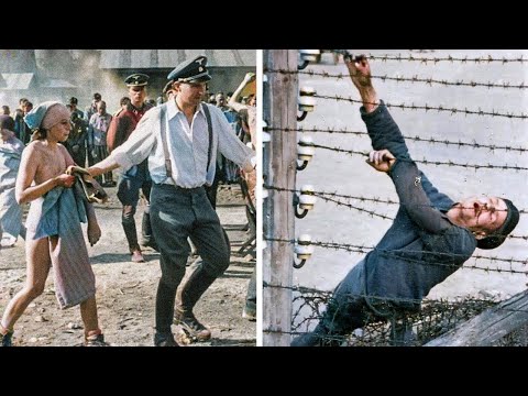Auschwitz: The Most Brutal Nazi Crimes Ever Exposed