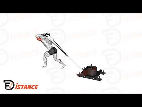 Exercice Extensions triceps au traîneau au-dessus de la tête