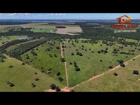 CHACARA DE 54 HECTARES PROPRIEDADE RURAL EM ROCHEDO MS BRASIL