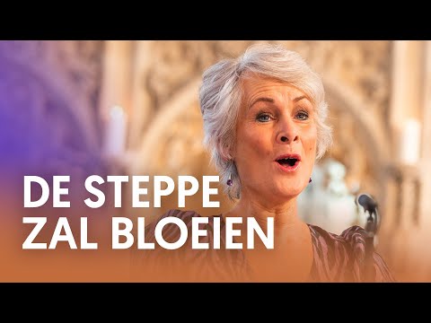 De steppe zal bloeien - Nederland Zingt