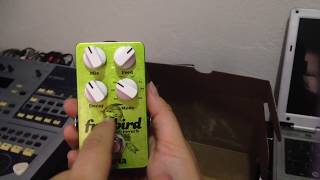 Unboxing FREEBIRD Darta Effects