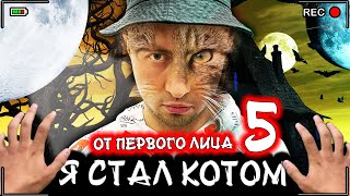 Говоря я бездомный котёнок 1 1 числа 5 Watch HD Mp4 Videos ...