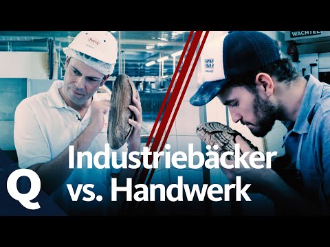 Industrial bakery vs. bakehouse: How our daily bread is made | Quarks