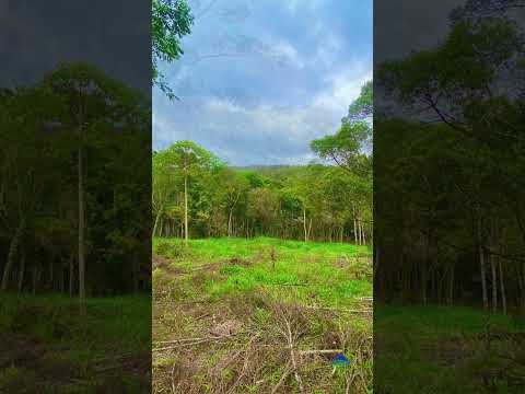 🏡 TERRENO DE 20 HECTARES EM BOM JARDIM DE MINAS MG | 250.000,00