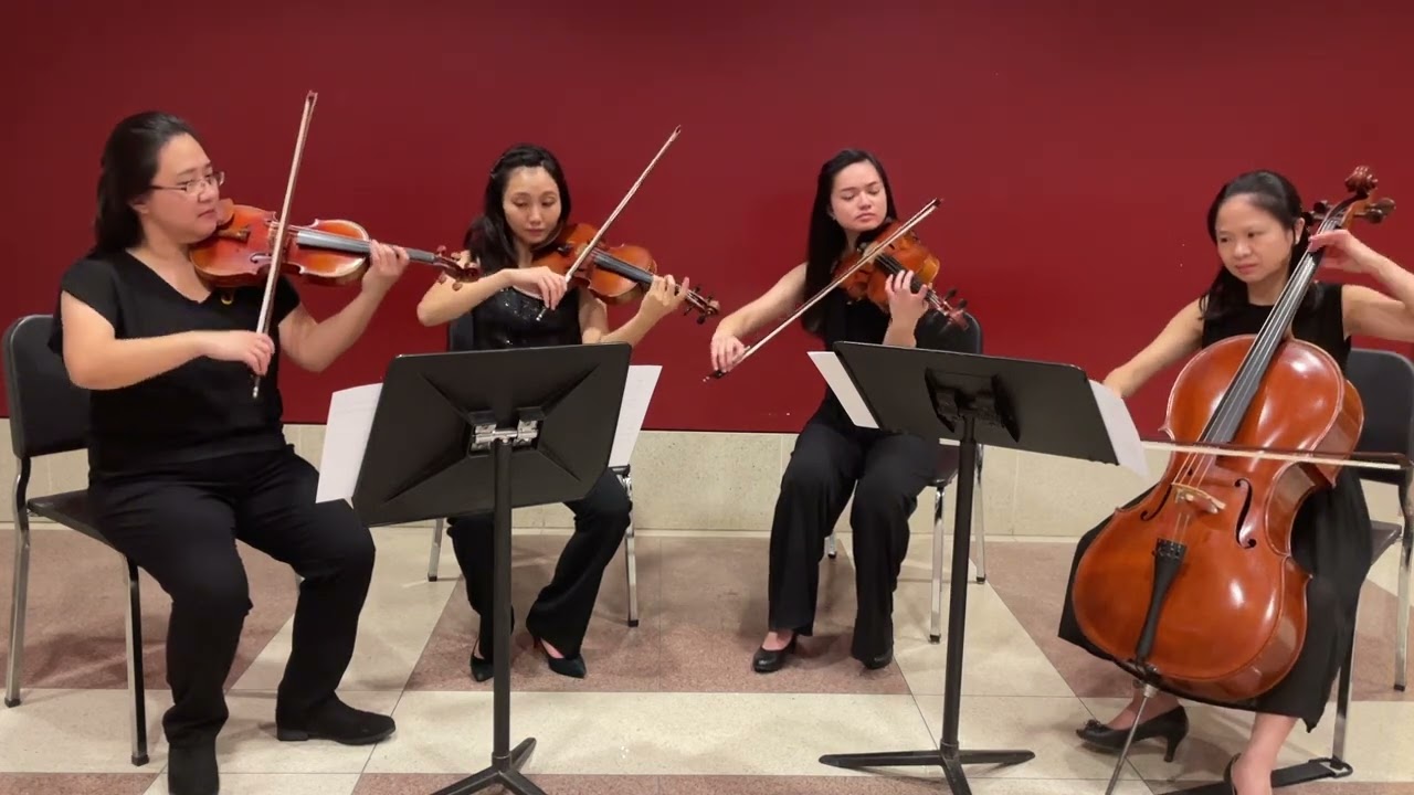 Promotional video thumbnail 2 for Stringendo Strings