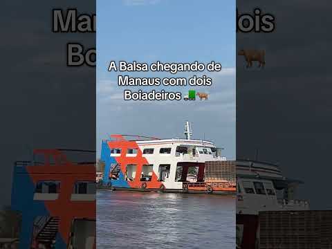 Careiro da Várzea AM #foryou #fyp #amazonas #viral #viralvideo #viralshorts #funny #Careiro #shorts