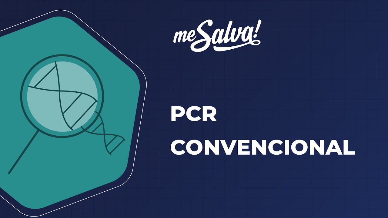 Genética Molecular – PCR convencional - Genética Humana - Me Salva! Saúde