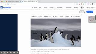 Newsela Article Instructions