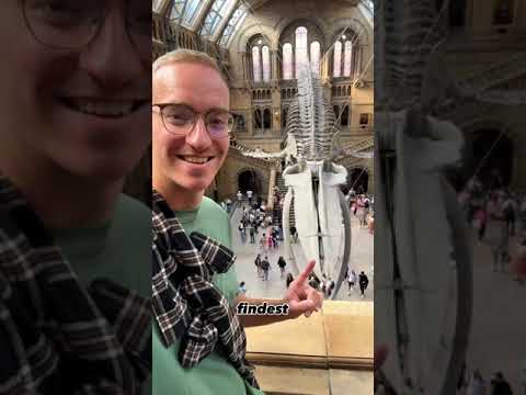 3 kostenlose Geheimtipps in London, die du nicht verpassen darfst!🤯