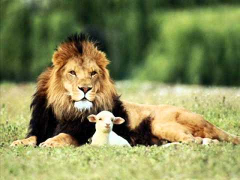 Rebel MC ft. Top Cat - His Imperial Majesty