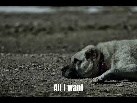 Everything reminds me of you - Take care (Lyrics)