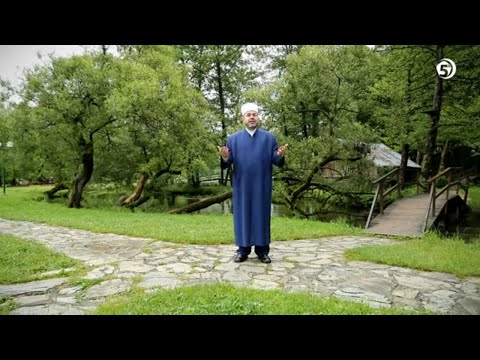 Savjet iskušanom - SAVJET DANA - mr. Aljo ef. Cikotić