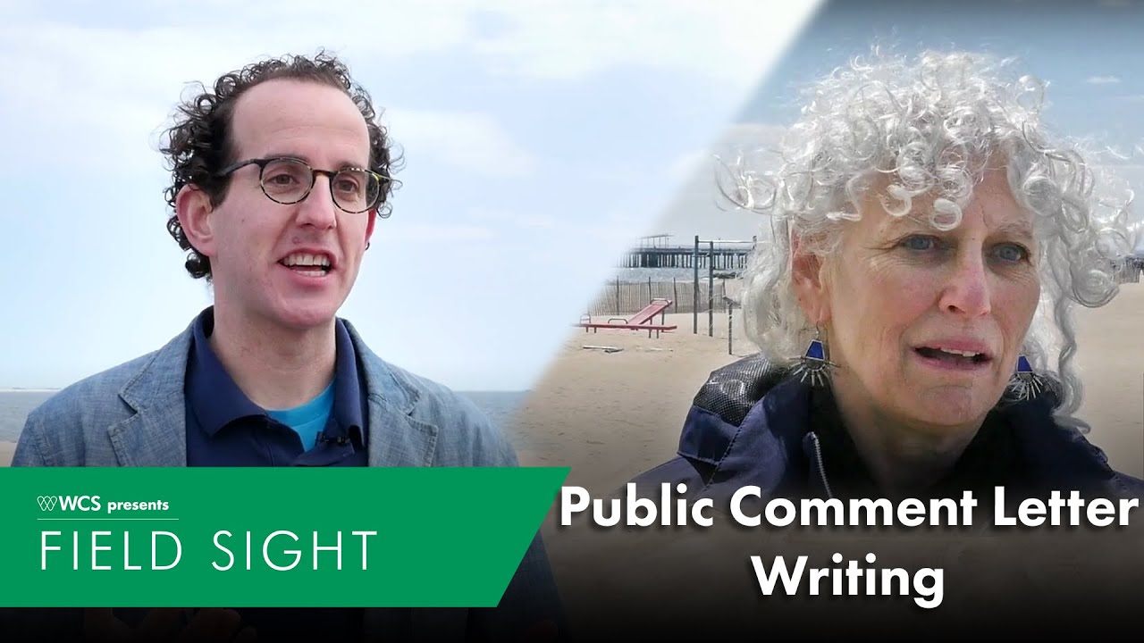 Public Comment Letter Writing