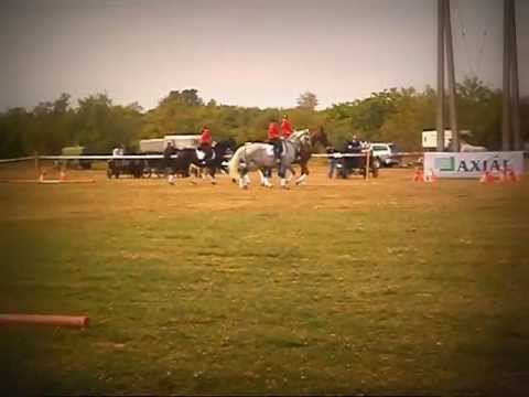 Bajomi Lovasnap.! ♥