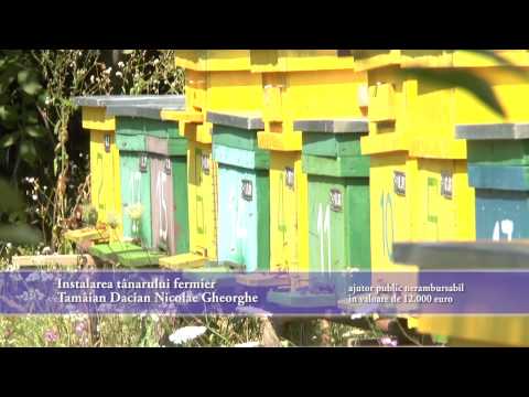 Tamâian Dacian - Proiect Achizitie Motocositoare, Dotare Stupina Finantat prin GAL Somes-Codru