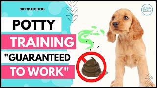 Step by step guide  To POTTY 💩 Train Your Puppy  🐶 easily. II Puppy Training tips. II