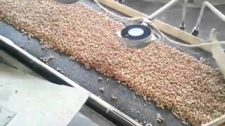 Produzione pellet bianco di abete, vendita pellet in offerta