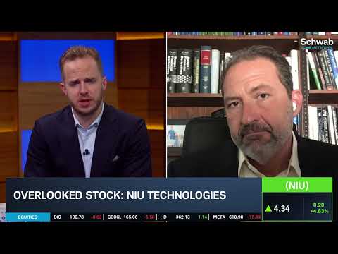 Overlooked Stock: NIU