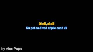 Carla&#39;s Dreams - Aripile Karaoke Versuri Cover HD