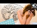 Does Birth Control Change Your Brain? 