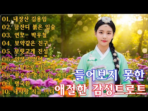 차 안에서 듣는 트로트 | 드라이브 음악💖하루 종일 듣기 좋은 노래 모음🎶흘러간 옛노래 뽕짝 메들리 가사 포함,추억의 트로트 명곡 모음💿 잊을 수 없는 그 시절의 감성