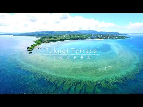 フクギテラス プロモーションムービー(客室・備瀬フクギ並木)