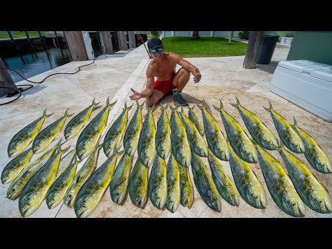 BEST Day of Dolphin fishing! Catch Clean Cook ( Florida Mahi Mahi)
