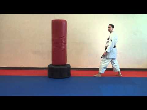 Back Kick ( Ushiro Geri) - Warren Levi Karate
