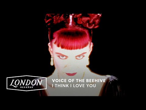 Video thumbnail for I Think I Love You
