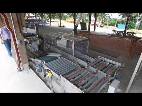 Station conditionnement bananes / bananas packing house