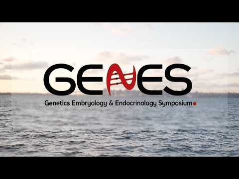 BURNS Media Productions video.