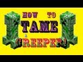 Minecraft - How to tame a creeper! 