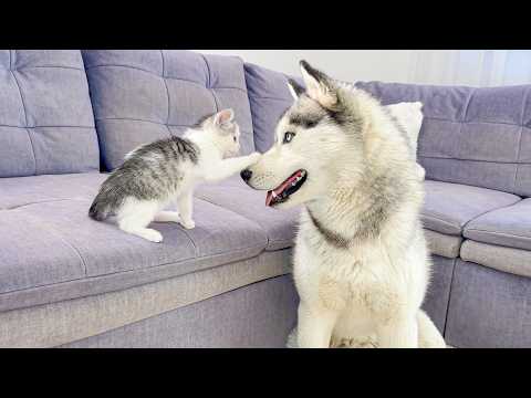 YouTube 썸네일