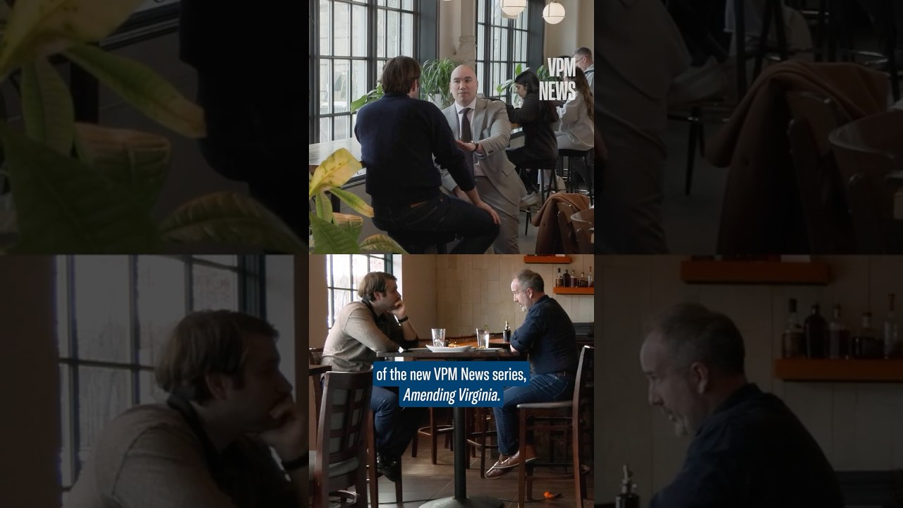 Amending Virginia: Redistricting, Yes or No?