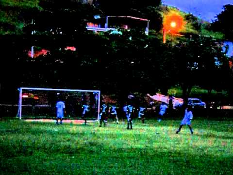 vídeo gato preto gol rogério.AVI