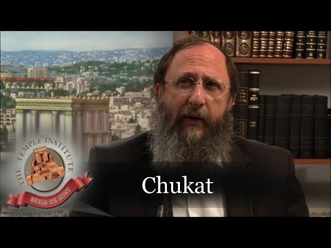 Weekly Torah Portion: Chukat (The Red Heifer)