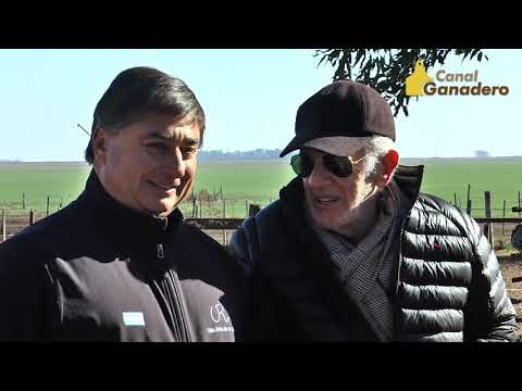 Cabaña El Señuelo previa Palermo 2019 - Carlos Ojea Rullan, productividad