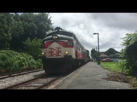 A Rare Sight on the Cape Cod Central