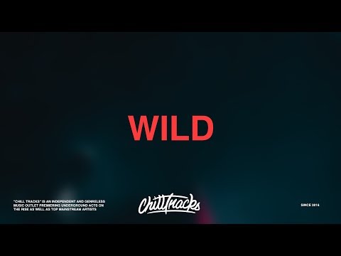 Jonas Blue – Wild (Lyrics) ft. Chelcee Grimes, TINI, Jhay Cortez