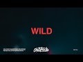 Jonas Blue – Wild (Lyrics) ft. Chelcee Grimes, TINI, Jhay Cortez