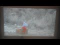 ELMO GETS BLOWN UP