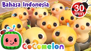 Download lagu Berhitung Angka dengan Anak Ayam | CoComelon | Lagu Anak | Moonbug Kids Indonesia | Nursery Rhymes mp3