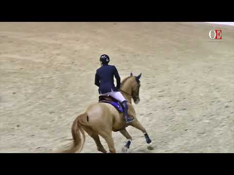 OE TV 1. Bronislav Chudyba with Pokerface 33 | Milano Winter Show 2017 CSI3* Saturday h.135