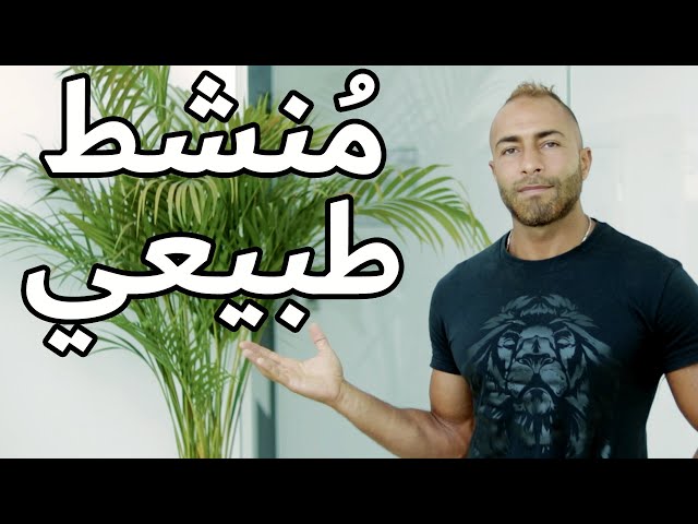 بودرة الجنسينج 50 جرام