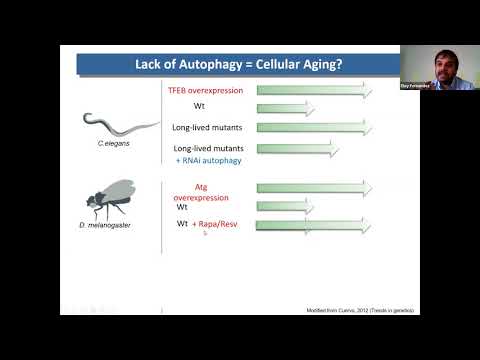 HNRCA Special Seminar: Autophagy and intercellular communication in aging and age-related diseases